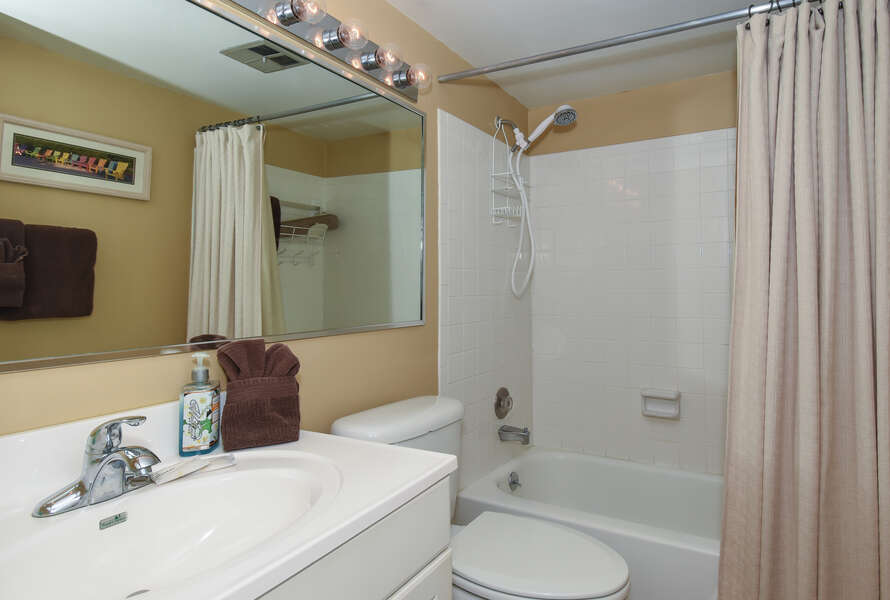 Guest bathroom with shower and tub