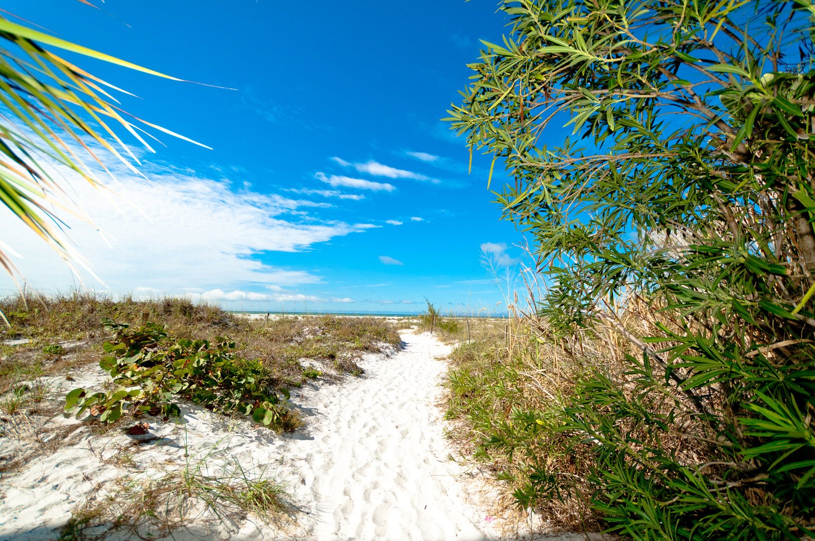 Anna Maria Island public beach access path with view to gulf