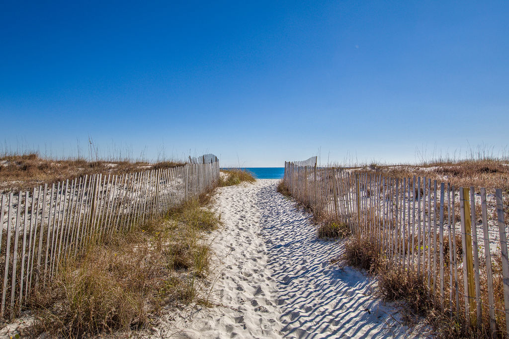 Sandy Path to the Beach