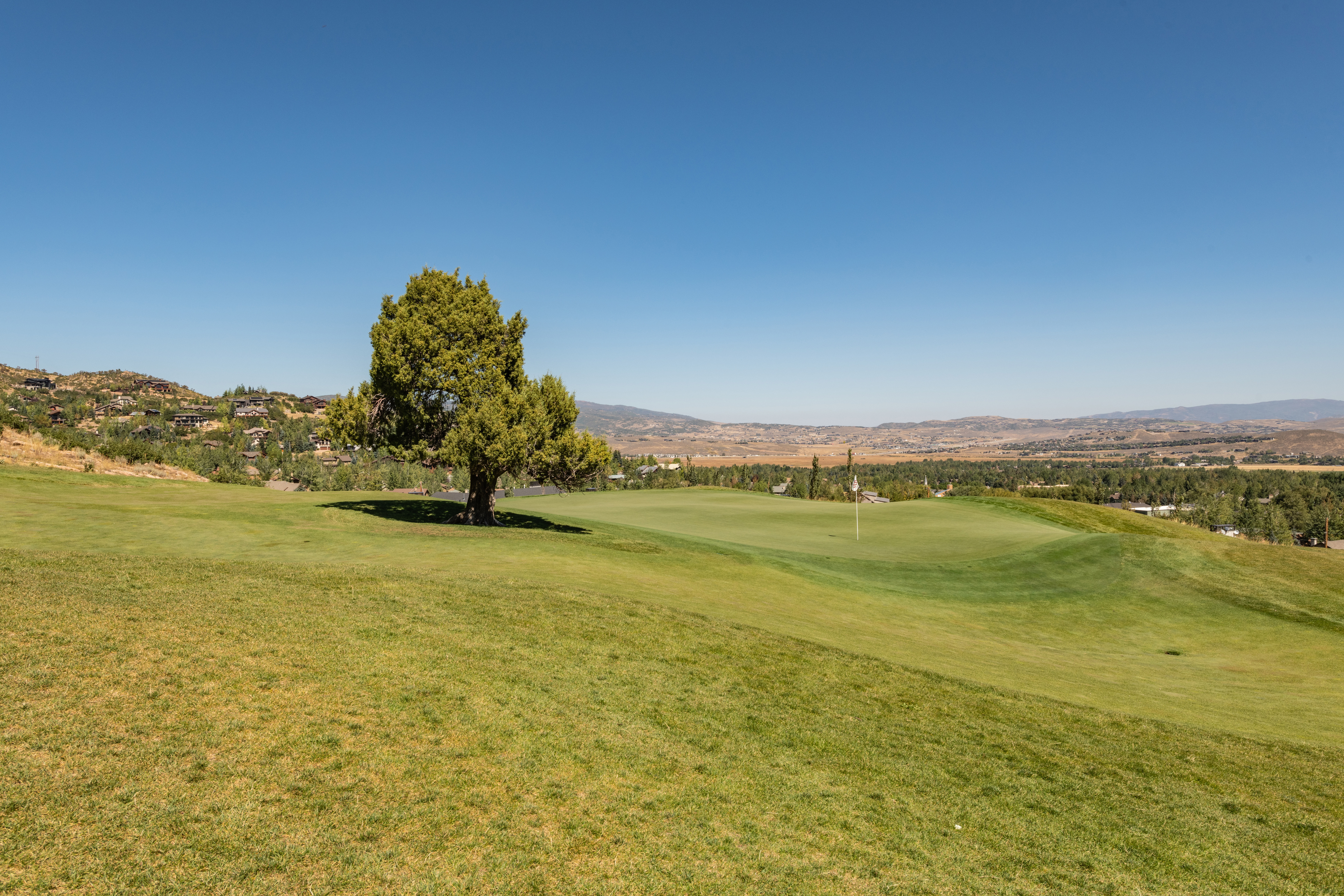 Enjoy this view of valley, golf, and the namesake Juniper tree