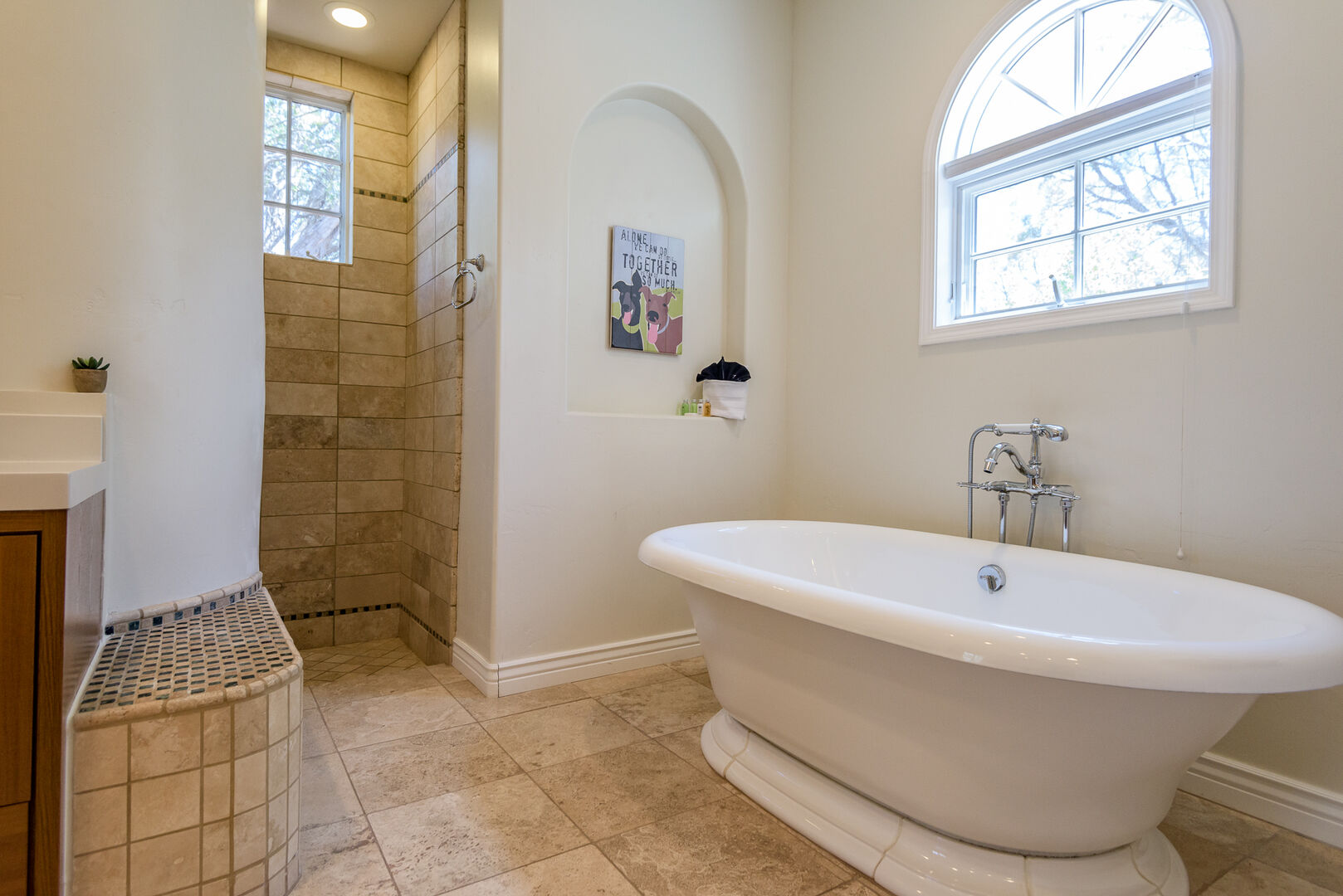 Soaking Tub and Walk-in Shower