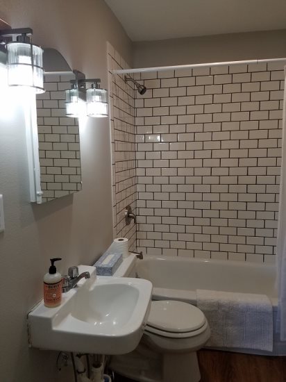 Tiled Shower with Bath Tub