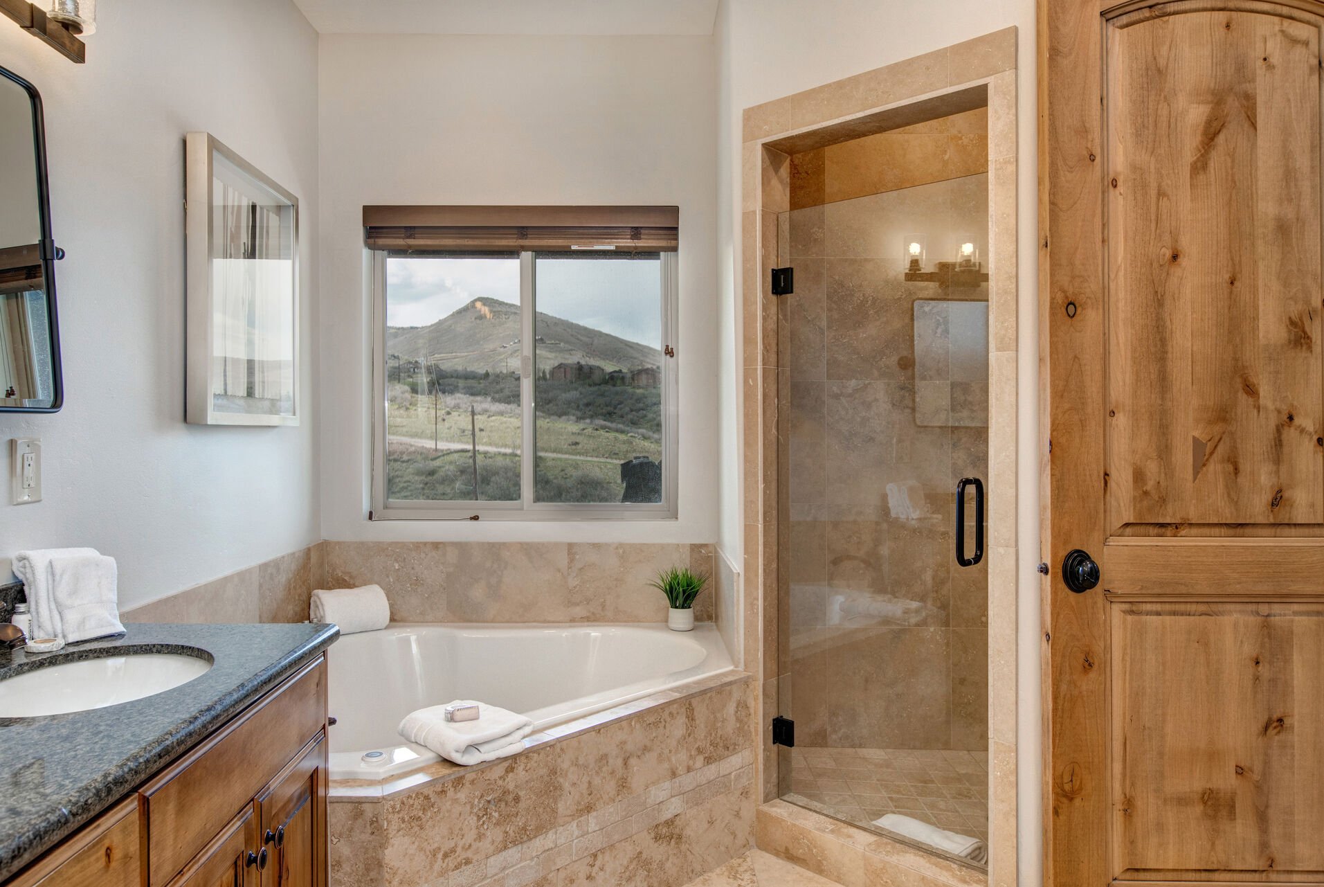 Jetted Tub and Separate Shower with Sweet Views