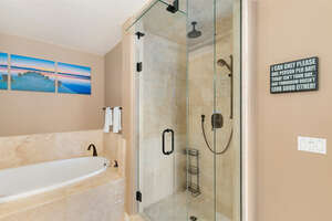 Master bathroom, separate shower, step-in with adjustable shower head
