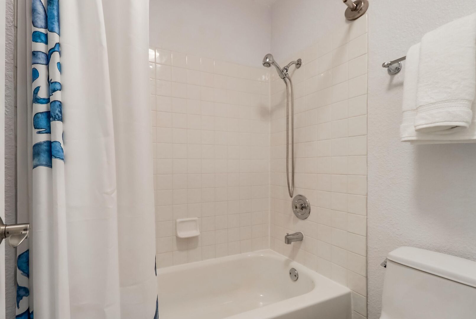 Master bathroom shower/tub combo