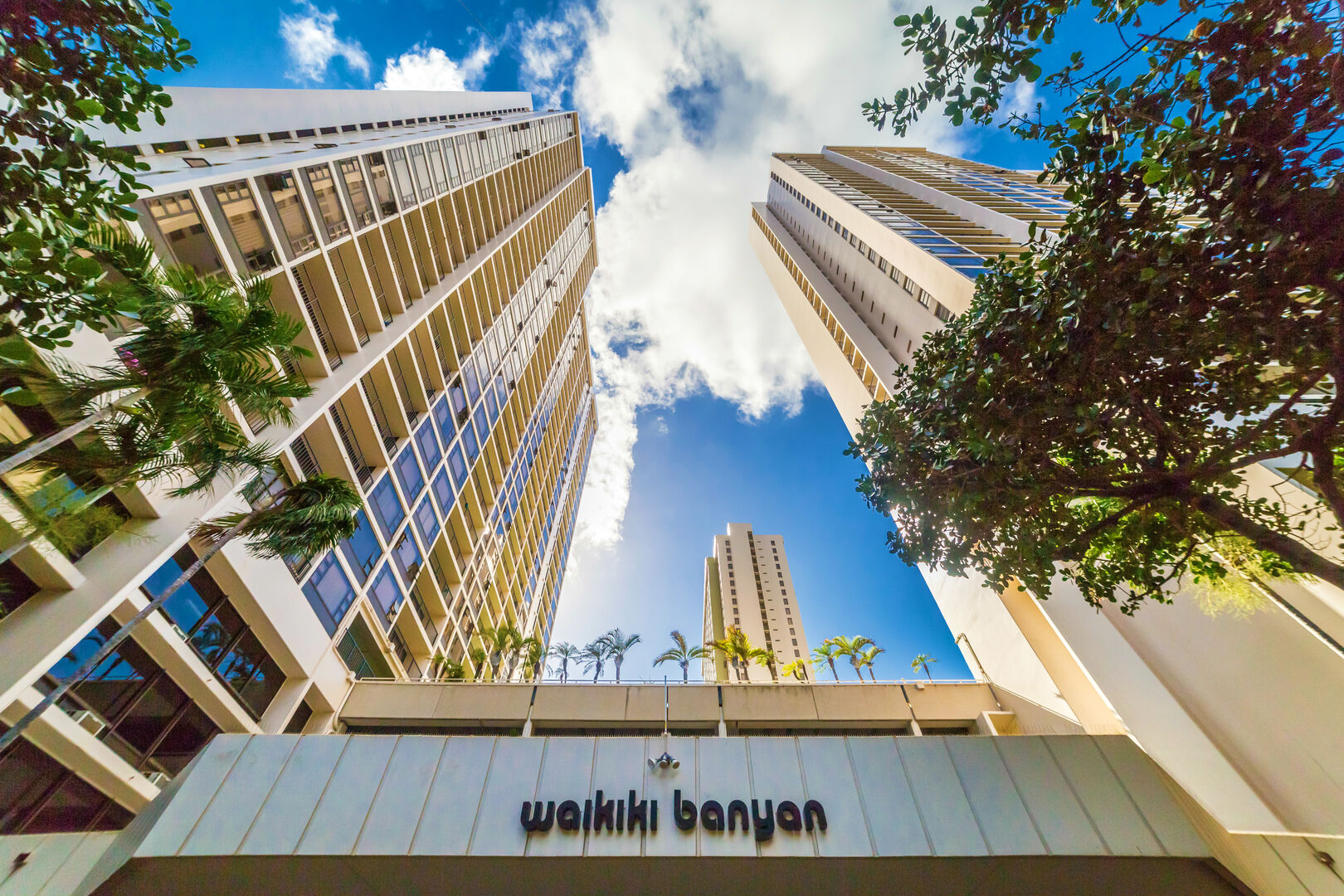 Waikiki Banyan and its two towers!