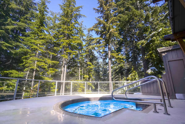 Common Area Hot Tub