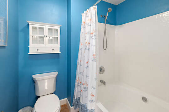 Tub/shower combo in the Master Bathroom