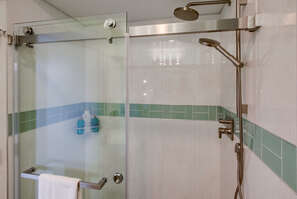Master bathroom with brand new remodeled walk-in shower with rainfall shower head and handheld.