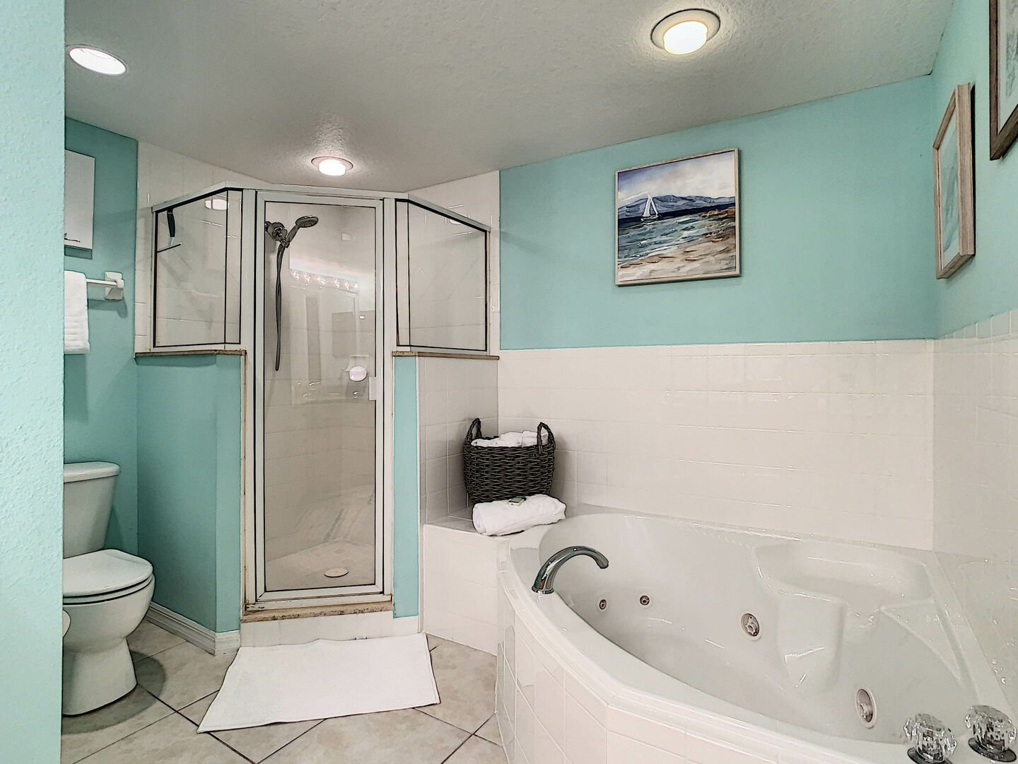 View of the bathroom - a walk in shower and a bathtub