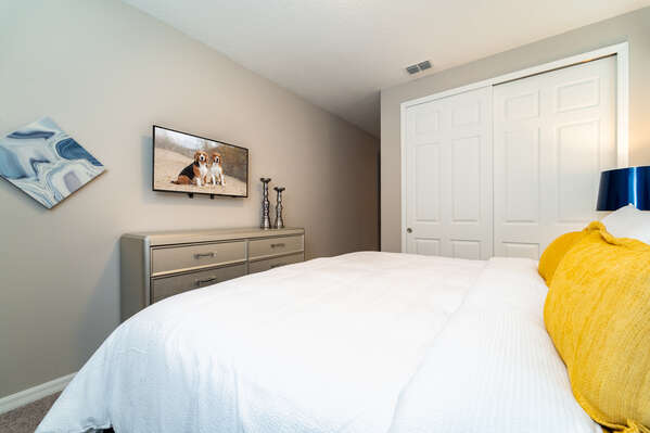 Master bedroom 2 showing flatscreen TV and closet