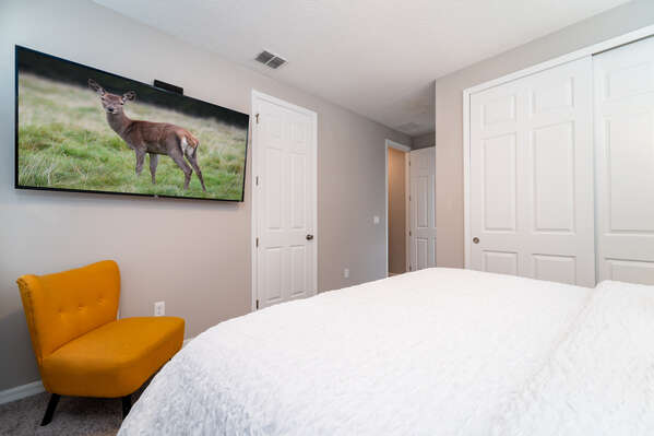 Bedroom 5 showing flatscreen TV and closet