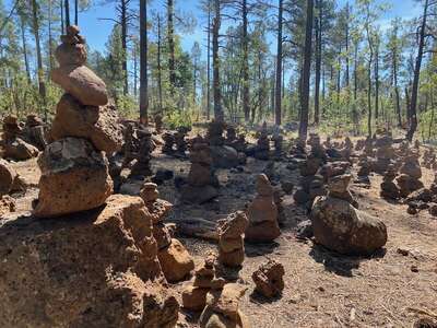 Natural and human-made beauty can be found throughout the Pinetop-Lakeside community.
