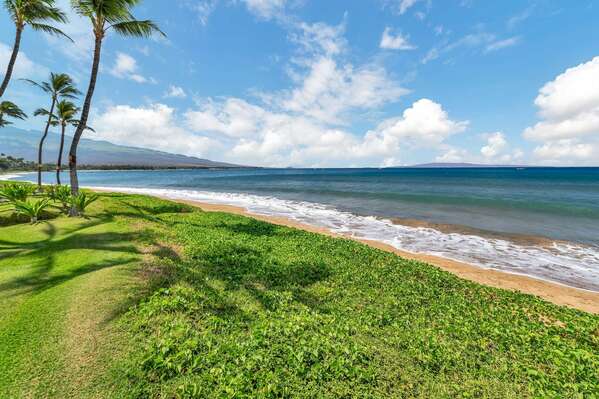 Sugar beach is located on the longest beach in Maui. Morning strolls along the beach are common for many in the area.