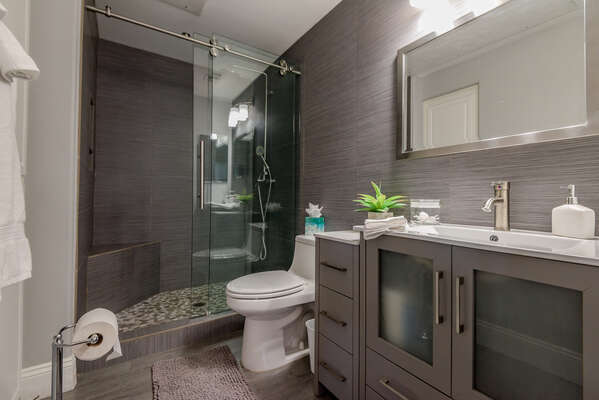 Private Bath with a Stone Counter Vanity and a Tile/Glass Shower