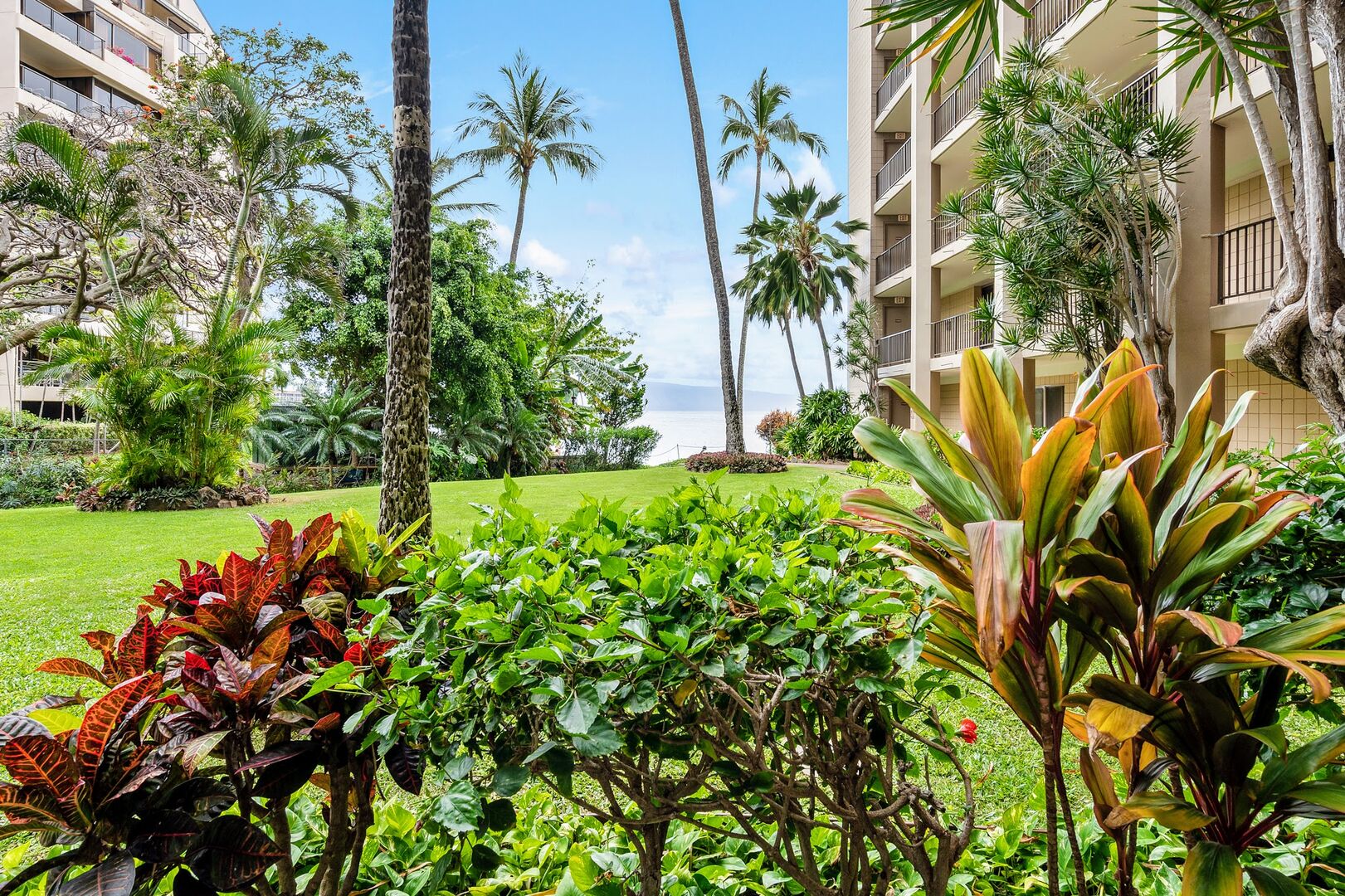 Lush vegetation throughout the property.