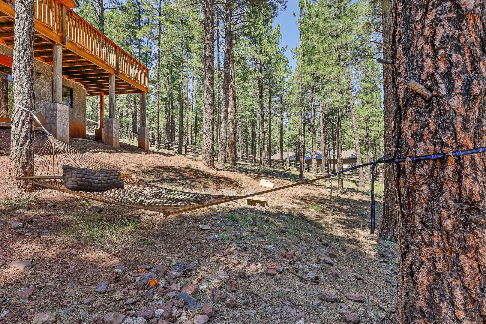 Relax in the hammock surrounded by the pines!