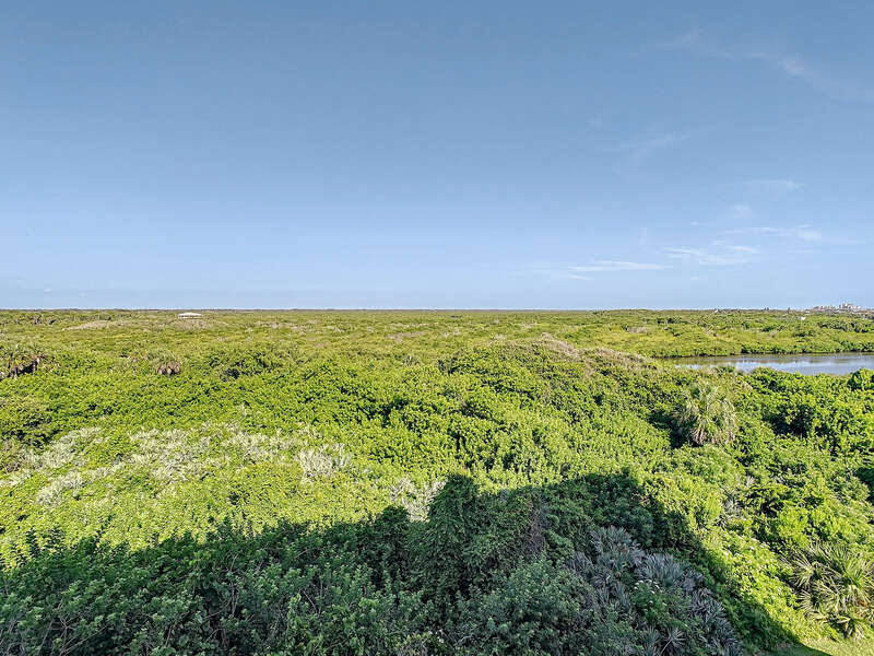 View of everglades