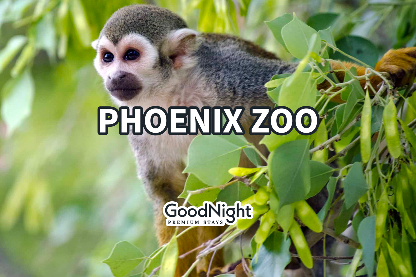8 minutes to Phoenix Zoo