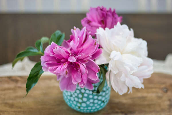 Enjoy the Peonies found all over upstate New York! They are so beautiful!!