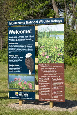 Montezuma National Wildlife Refuge