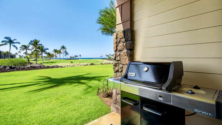 Grill on the lanai