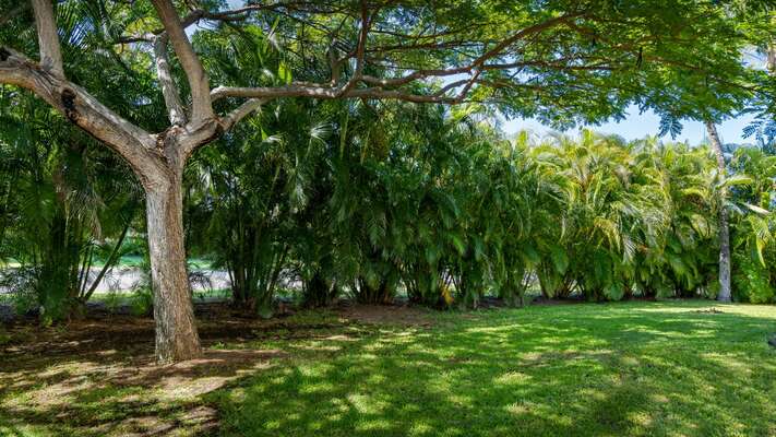 tropical surroundings at Waikoloa Colony Villas 2804