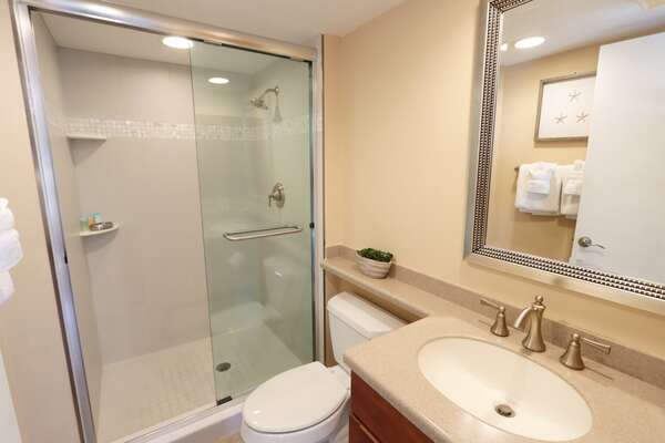 Guest Bathroom with walk-in shower