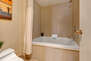 Master Bathroom with jetted soaking tub/shower combo