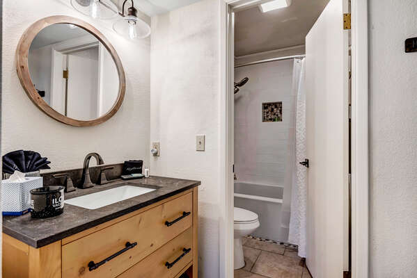 Master Bath Separate Tub/Shower Combo