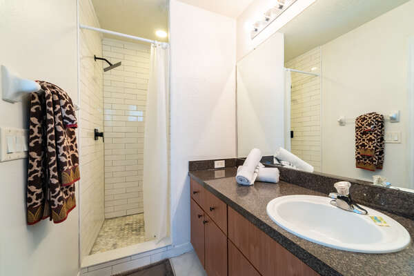 Master bath with stand up shower