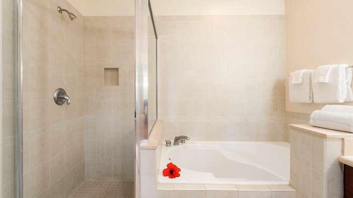 En-suite primary bath with bathtub and separate standalone shower