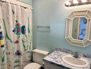 739W - THE COAST IS CLEAR | Photo