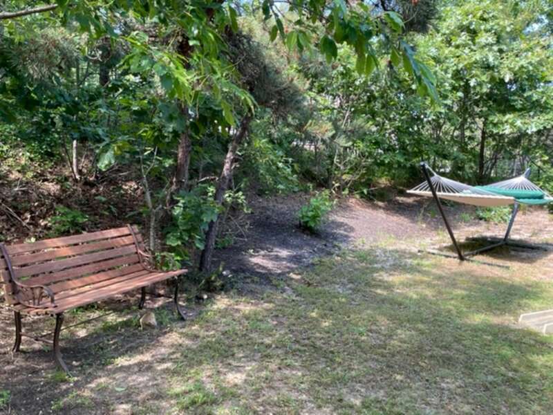 Backyard with bench and perfectly placed hammock-63 High Point Rd N Chatham - Cape Cod - New England Vacation Rentals