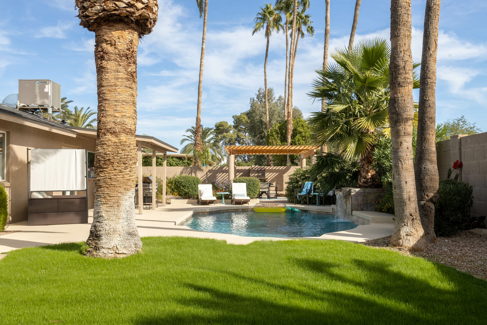 Green Area w/ Palms Overlooking Pool Area