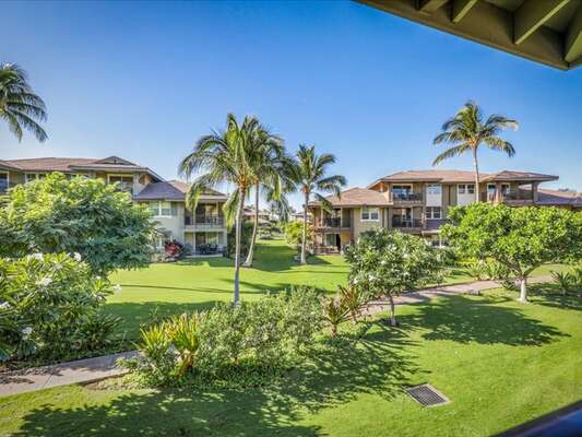 Hali'i Kai 20D view - nestled in the serene Coconut Grove area of the resort