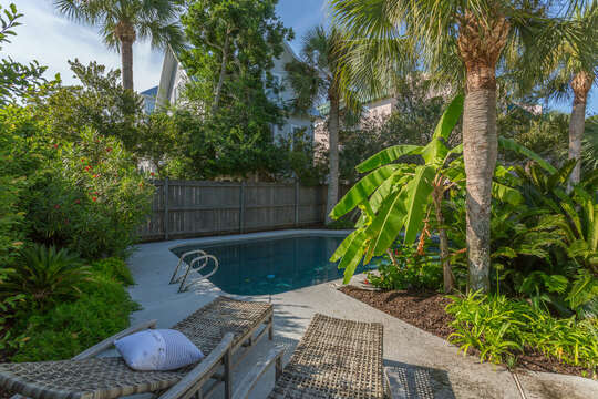 Pool are and landscaped backyard
