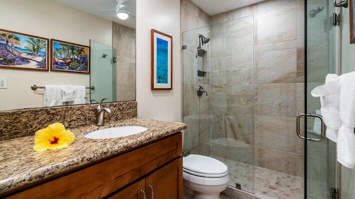 Guest bathroom with walk-in shower
