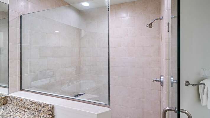 Primary en-suite bathroom with separate walk-in shower