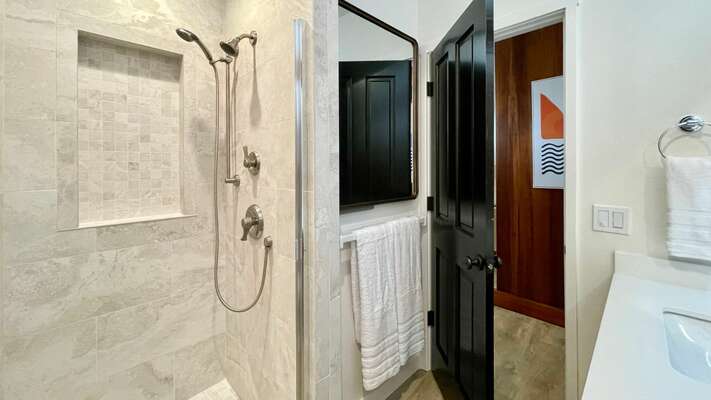 Downstairs bathroom shower enclosure with shower head and handheld