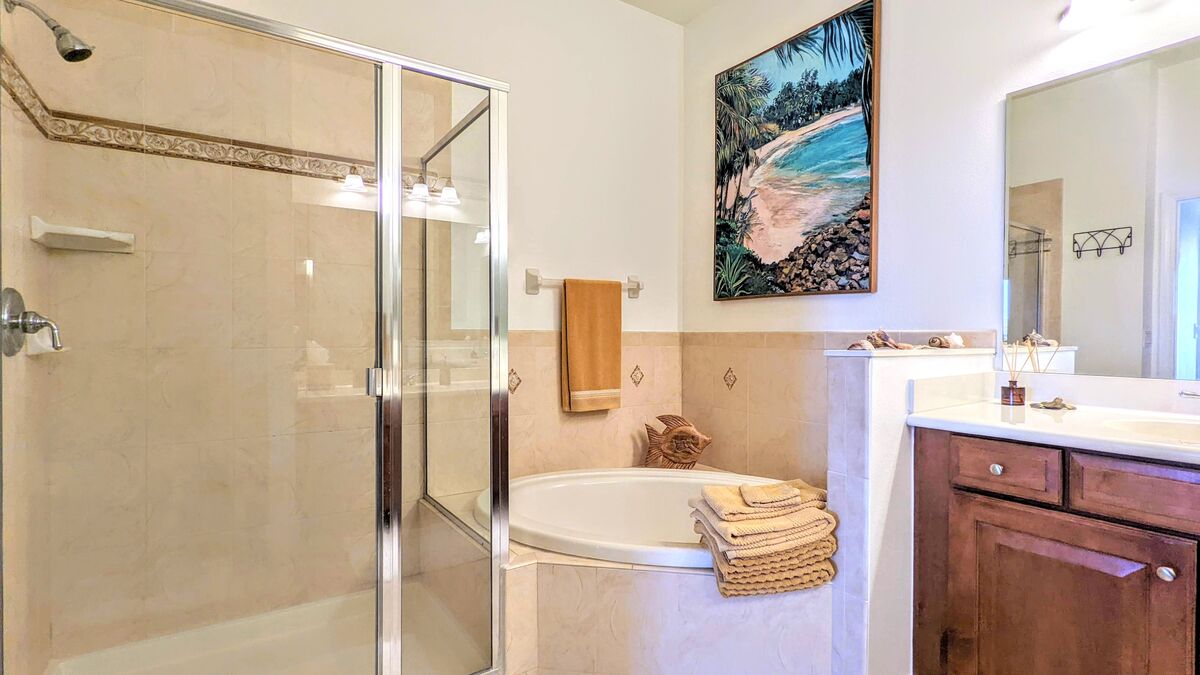 Master Bathroom Large Glass Enclosed Shower And Jacuzzi Soaking Tub