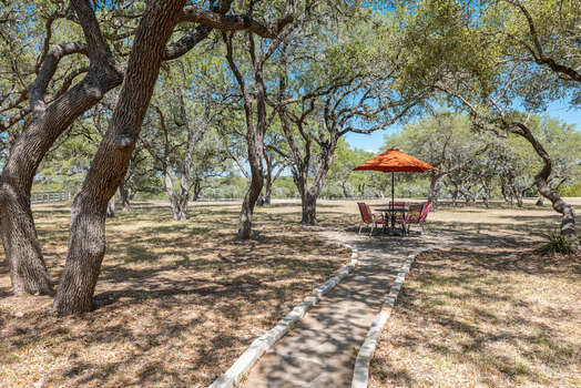 Have Your Meal Under the Mature Shade Trees