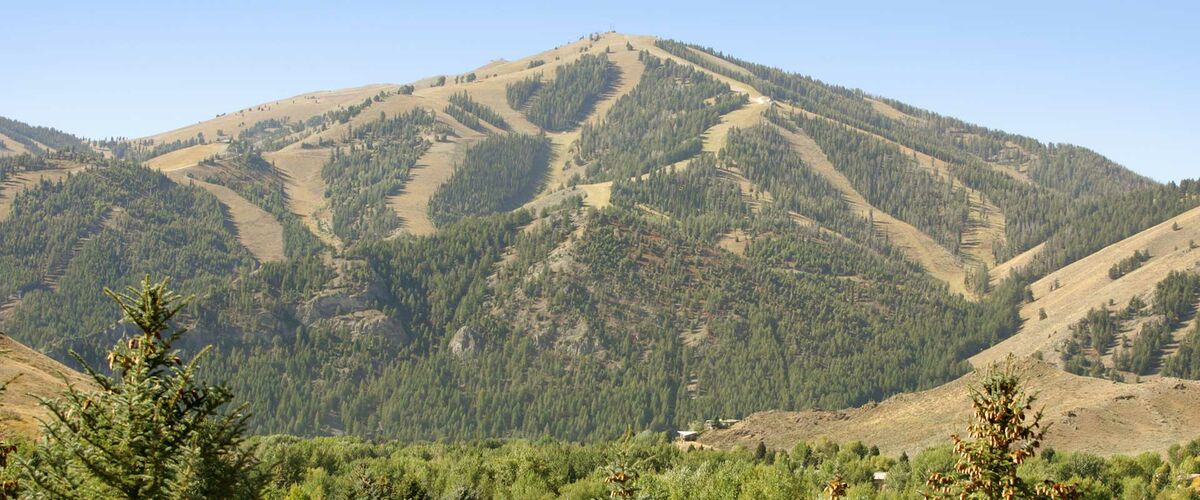 Baldy Mountain in the Summer