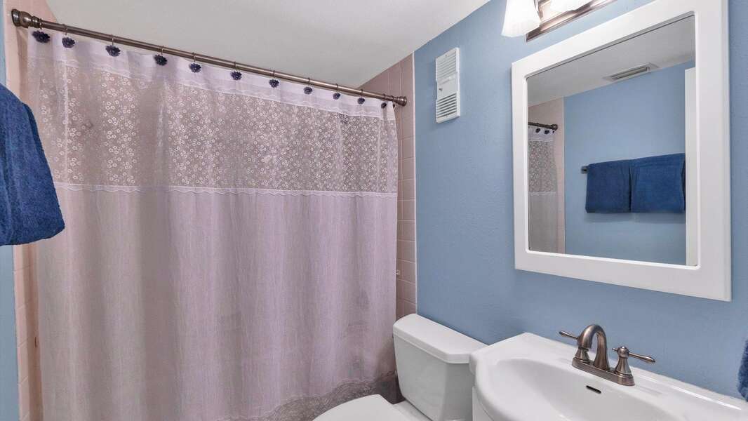 Guest bathroom with combo tub/shower
