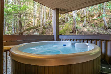 Private hot tub off main bathroom with forest view