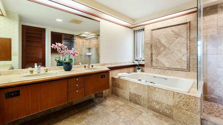 Primary bathroom, dual vanity, bathtub & separate shower