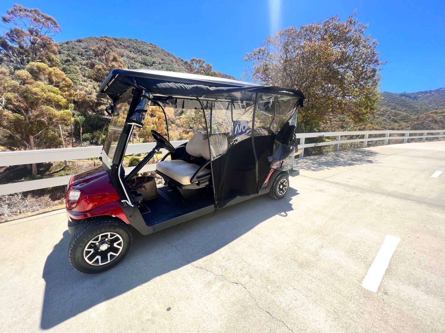 New Club Golf Cart with room for 6 people