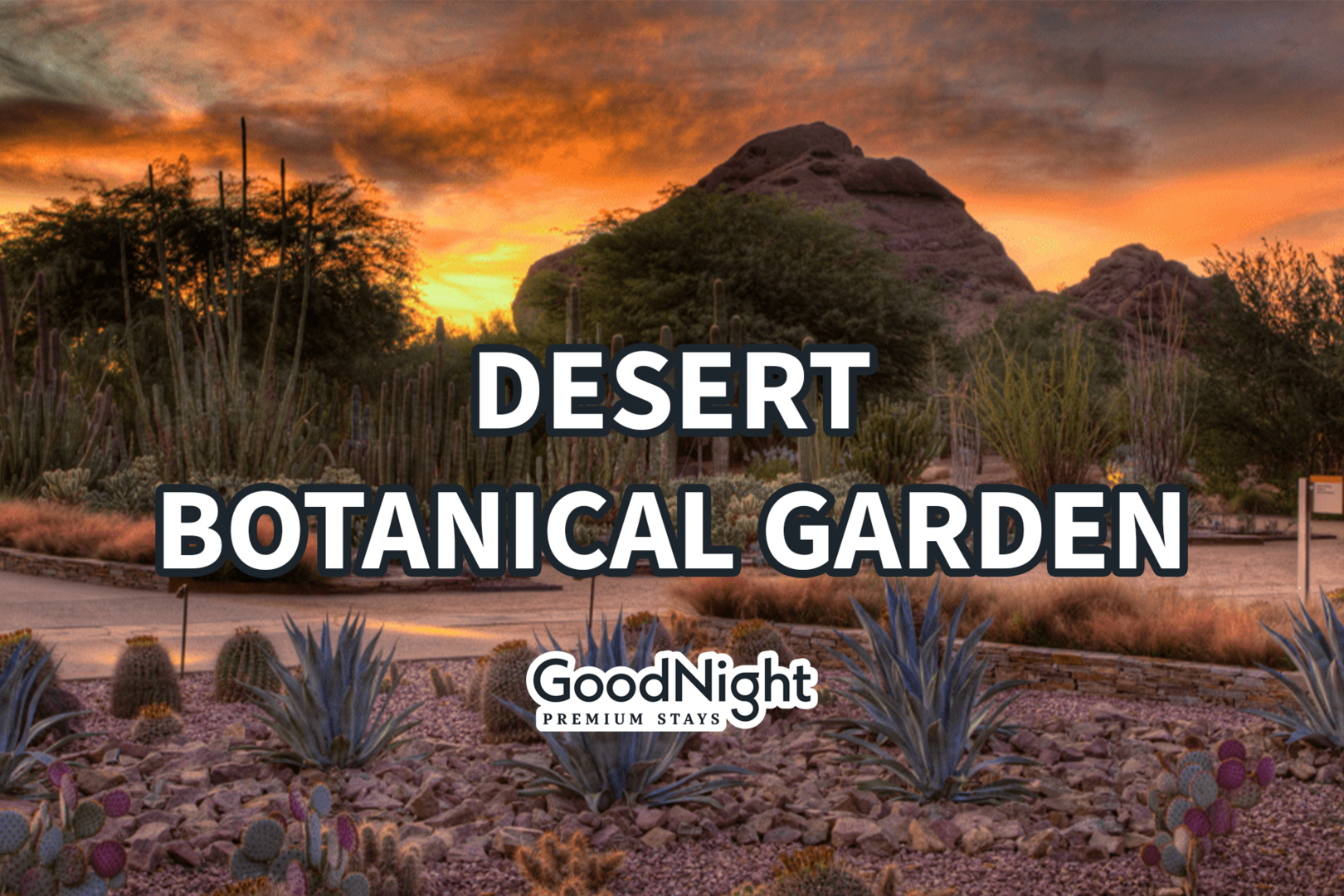 Desert Botanical Garden: 8 mins