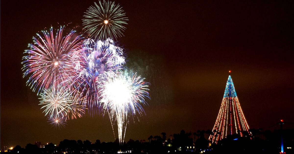 Don't miss the SeaWorld fireworks show! Contact us for the schedule