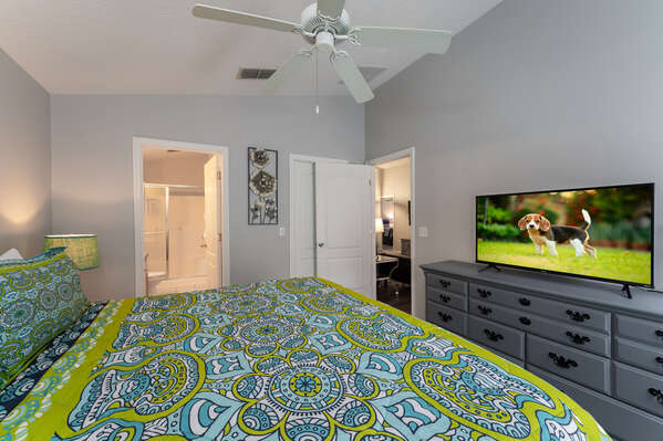 Master Suite showing TV